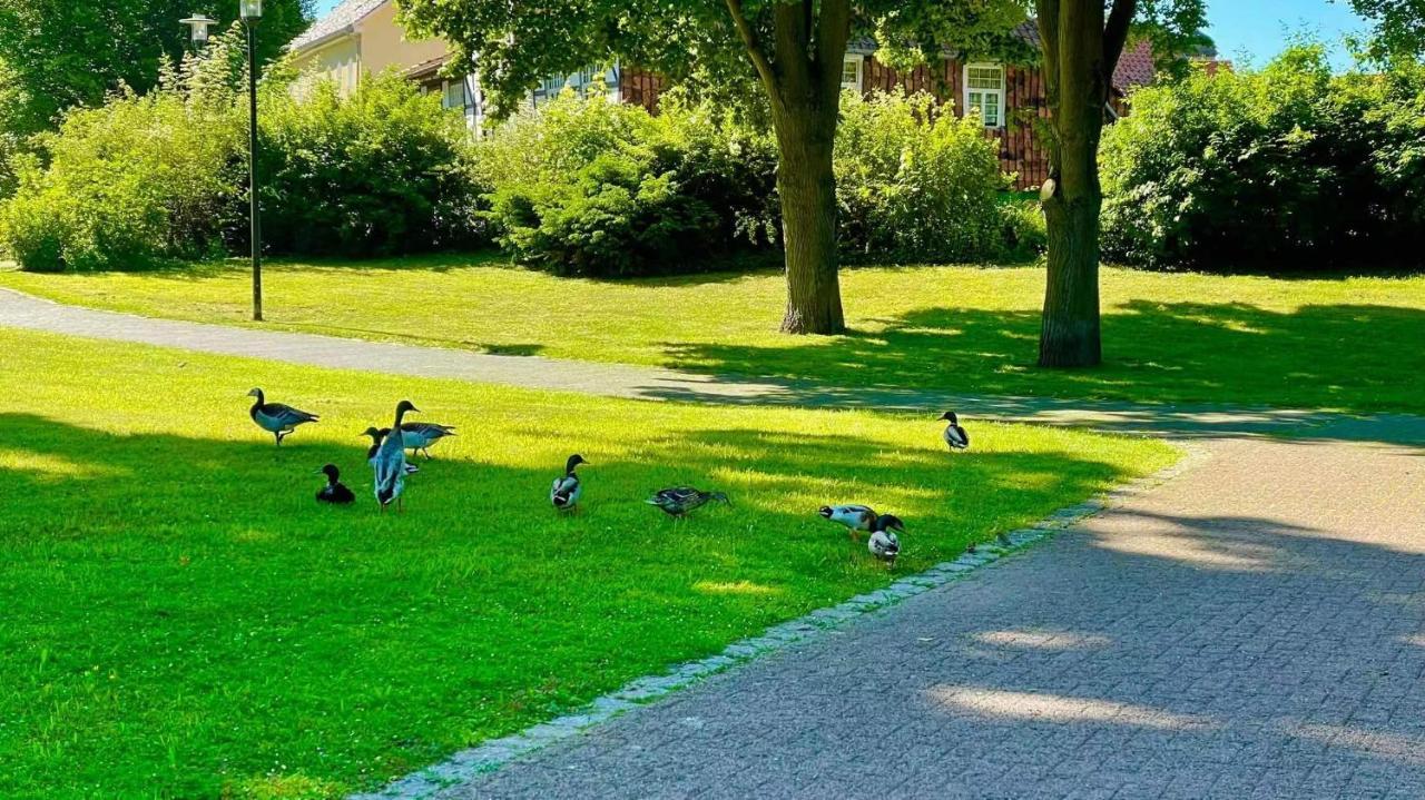 Gaestehaus Ambiente Am Kurpark Bad Sooden-Allendorf Buitenkant foto